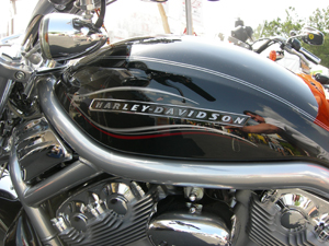 V-Rod Gallery